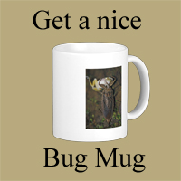 Get Your Bug Mug Button