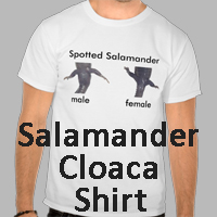Buy a Tshirt with a spotted salamander
